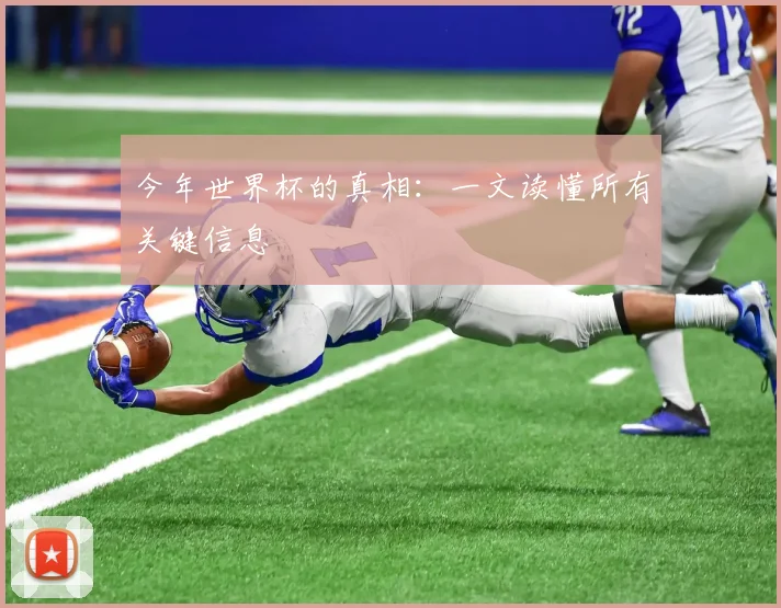 今年世界杯的真相:一文读懂所有关键信息
