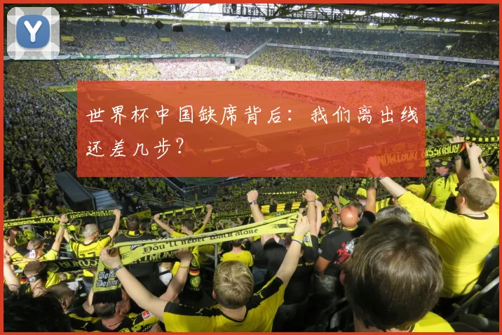 世界杯中国缺席背后：我们离出线还差几步？