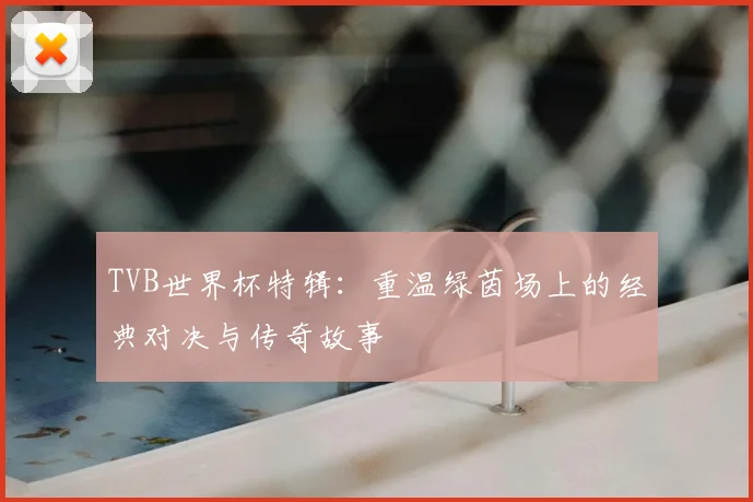 TVB世界杯特辑:重温绿茵场上的经典对决与传奇故事