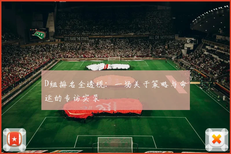D组排名全透视：一场关于策略与命运的专访实录