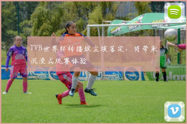 TVB世界杯转播权尘埃落定，将带来沉浸式观赛体验