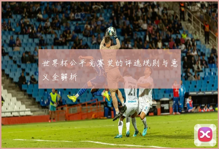 世界杯公平竞赛奖的评选规则与意义全解析