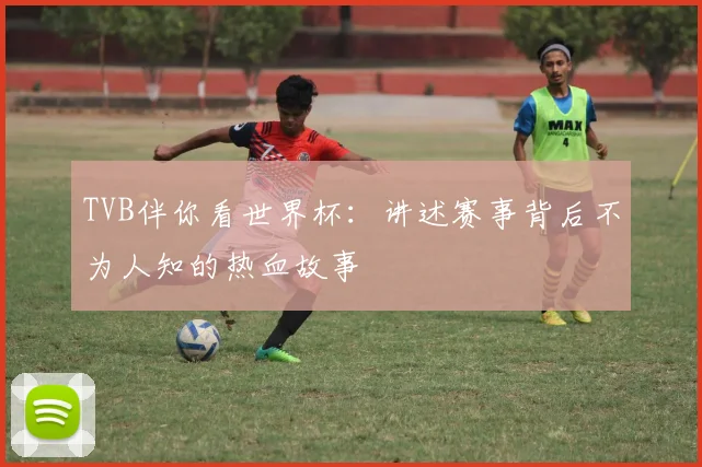TVB伴你看世界杯:讲述赛事背后不为人知的热血故事