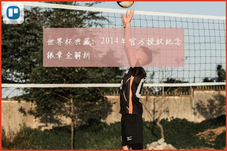 世界杯典藏:2014年官方授权纪念银章全解析