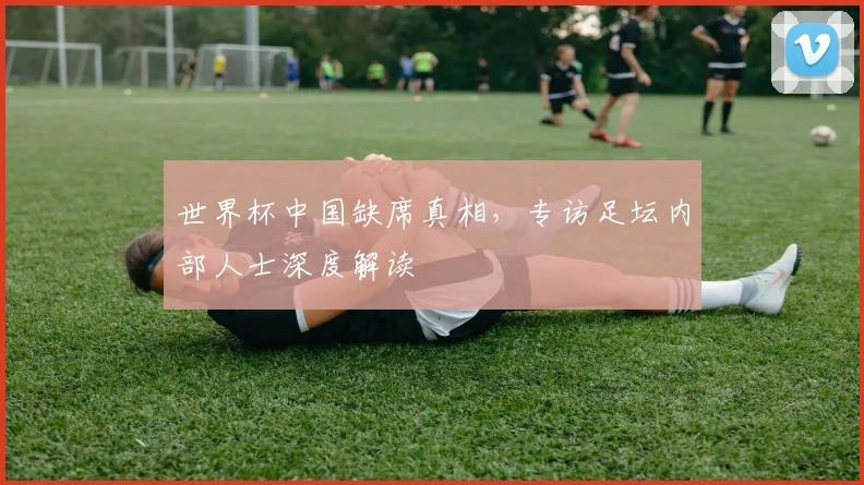世界杯中国缺席真相,专访足坛内部人士深度解读